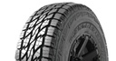 245/75 R17 121/118S LT-10C MAZZINI GIANTSAVER